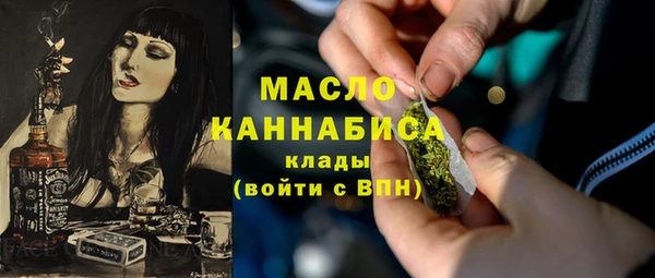 сатива Ельня
