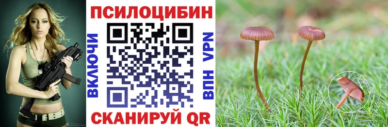 Галлюциногенные грибы Cubensis  Купить  Кстово 